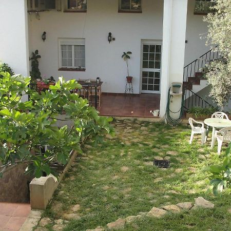 Hostal Rural El Balcon De 알란제 외부 사진